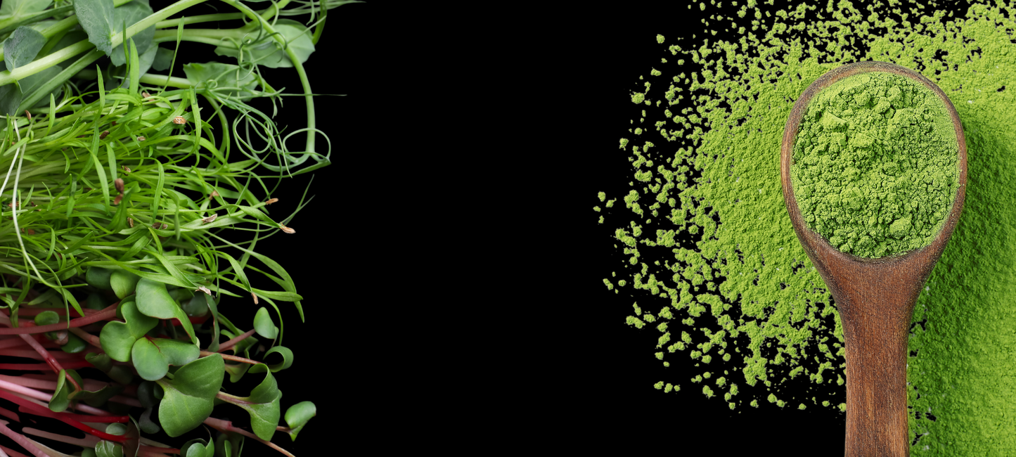 Power Greens